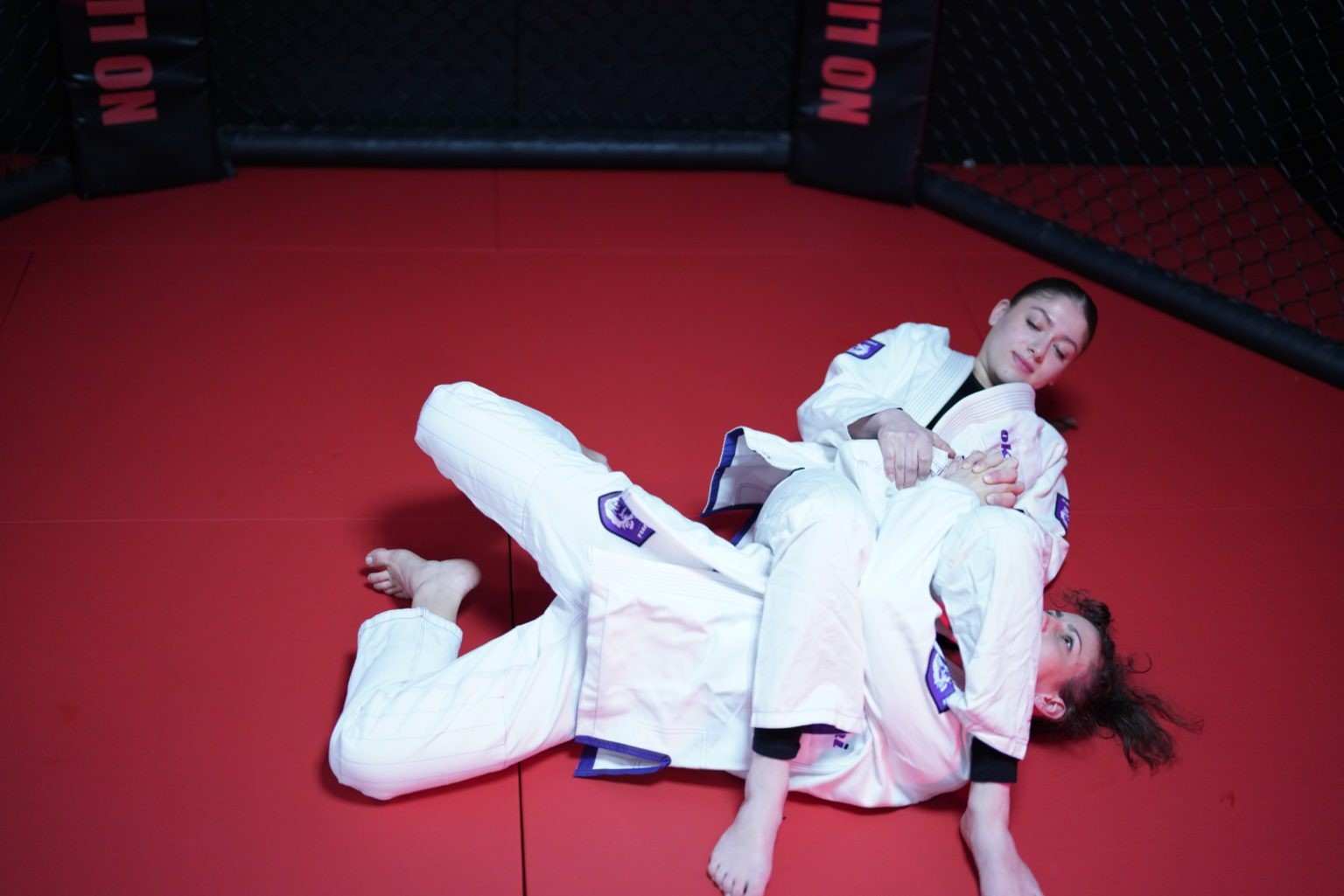 brazilian jiu jitsu,grappling,grappling in der nähe,bjj böblingen